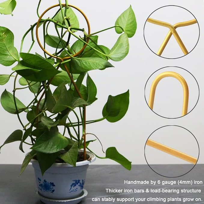 Small Metal Trellis for Potted Plants, Plant Support Stake Mini House Plant - Image 3
