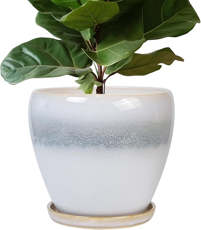 Ceramic Planter by EPFamily