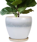 Ceramic Planter by EPFamily