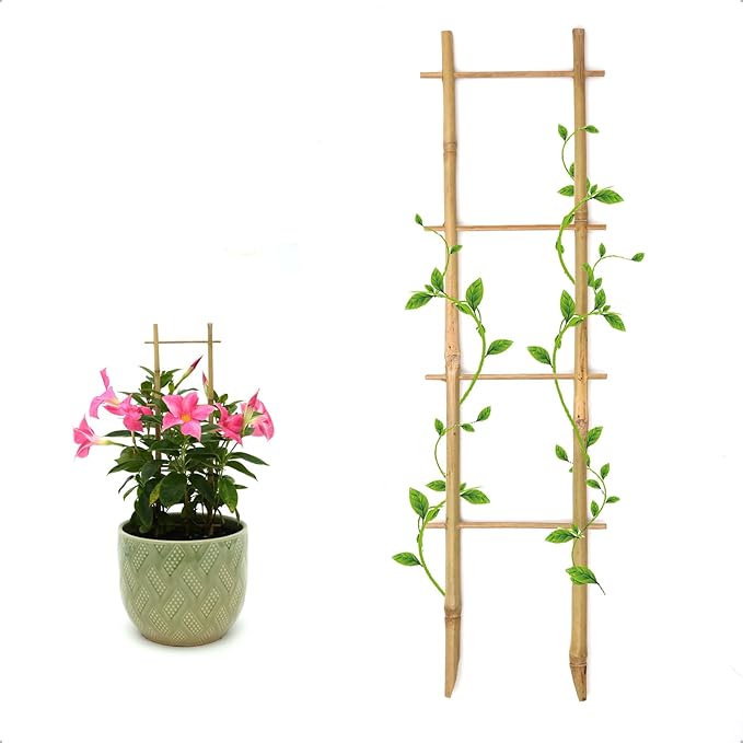 3Pack Bamboo Trellis 16 Inch Ladder Shaped Small Plant Trellis by Coloringyourleisuretime