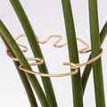 Monstera Plant Stem Support by Yohsnor
