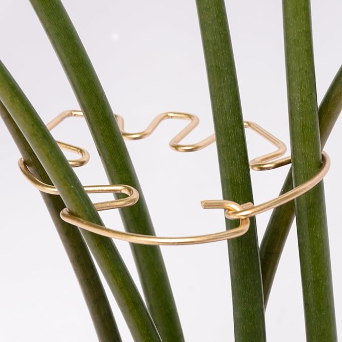 Monstera Plant Stem Support - Image 6