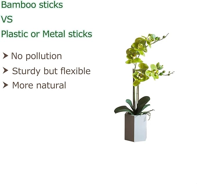 40pcs Natural Bamboo Sticks for Indoor and Outdoor Plants, 16 Inch Plant - Image 4