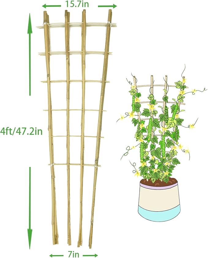 Natural Bamboo Trellis, Fan-Shaped Plant Support Trellis - Image 2