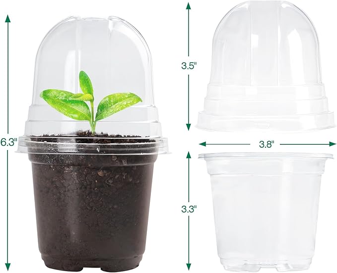 30 Packs 4 Inch Reinforced Clear Nursery Pots - Image 4