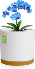 8 Inch Cylinder Flower Pots for Indoor Outdoor Plants, Medium Deep Plant Pots by WSMKSZ