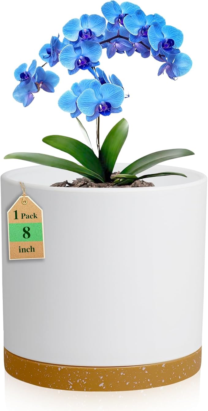8 Inch Cylinder Flower Pots for Indoor Outdoor Plants, Medium Deep Plant Pots by WSMKSZ