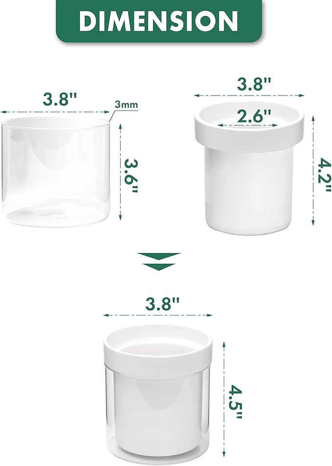 Phoenix Vine 4 Inch Self Watering Planter - Image 3