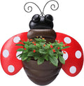 Metal Wall Planter Ladybug Wall Mounted Planters Small Flower Pot by Chonsun