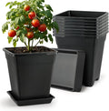 BTPLASTIK 9 Inch Square Planters by BTPLASTIK