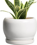SQOWL Ceramic Flower Pots by SQOWL