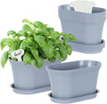 Windowsill Herb Garden Planter by Oliz