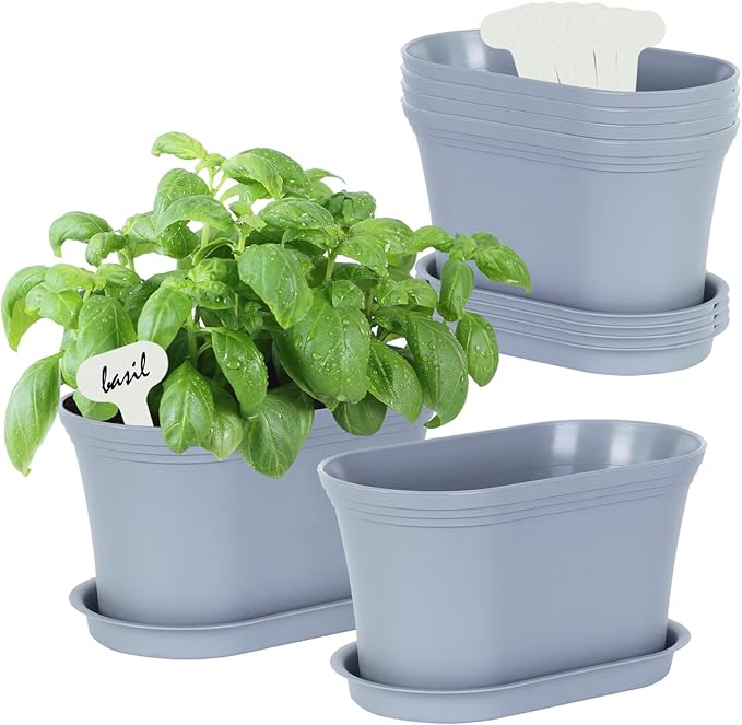 Windowsill Herb Garden Planter by Oliz