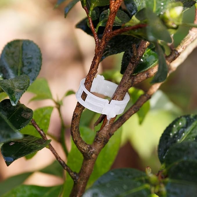 KINGLAKE Plant Support Garden Clips, Tomato Vine Clips, Tomato Trellis Clips - Image 6