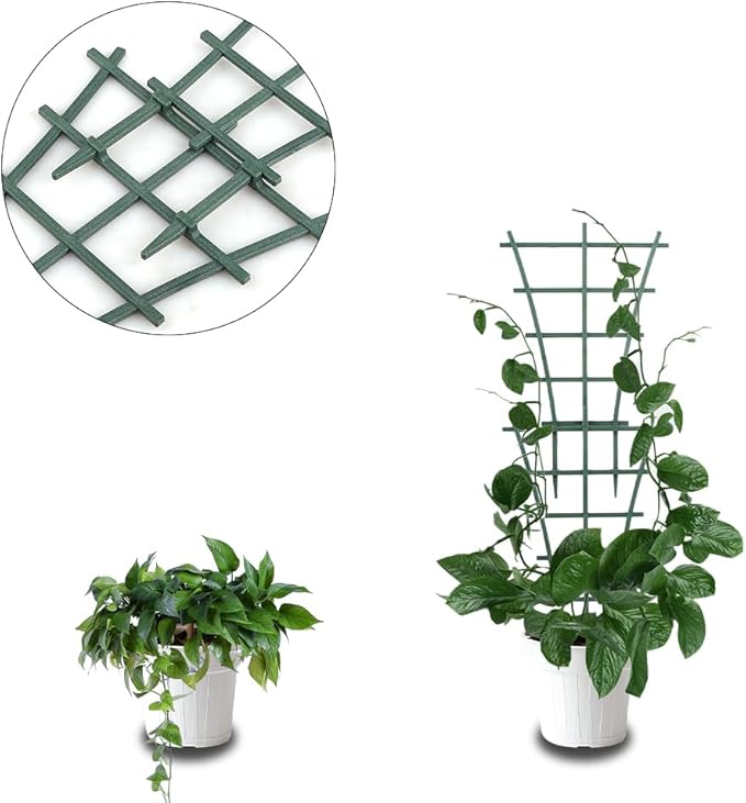 Trellis Small Outdoor, Mini Vine Support Indoor Plant Trellis - Image 8