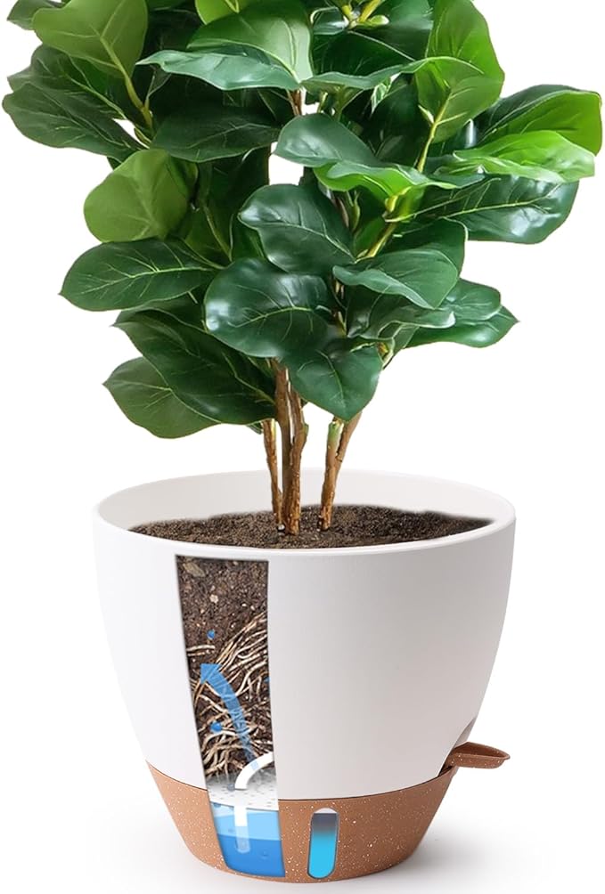 T4U 12 Inch Self Watering Pot by T4U