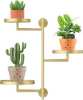 Rotating Window Shelves for Multiple Plants Indoor, 3-tier Metal Corner gold by YFFSRJDJ