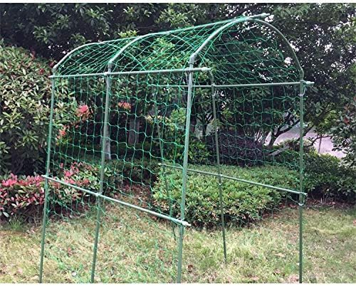 Pack of 2 Cucumber Tomato Trellis Netting, Heavy Duty Garden Netting - Image 6
