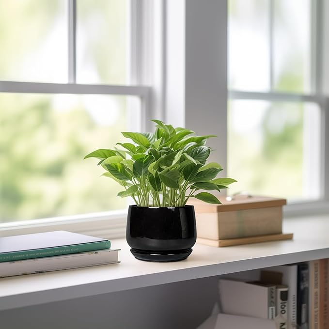 G EPGardening Small Ceramic Planter - Image 6