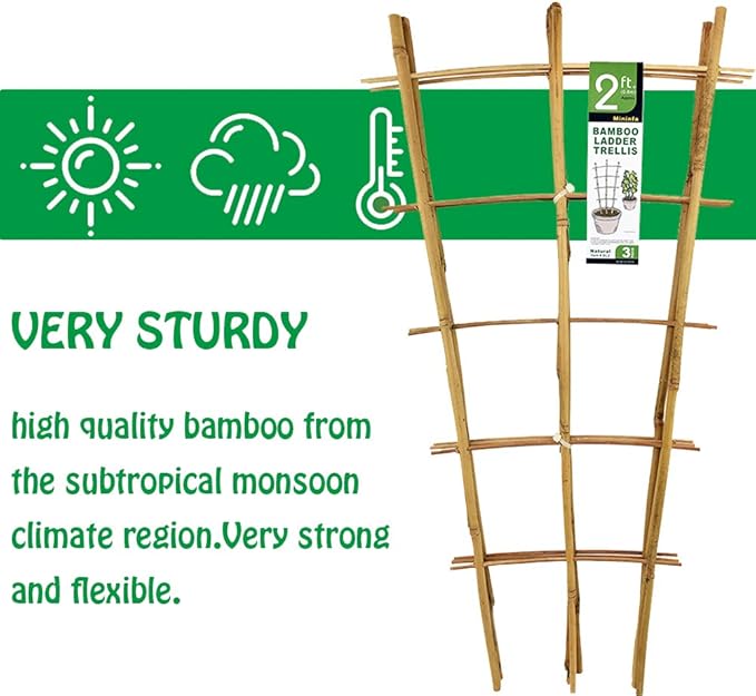 Natural Bamboo Trellis 24 Inches Tall, Mininfa Garden Ladder Trellis, Plant - Image 3