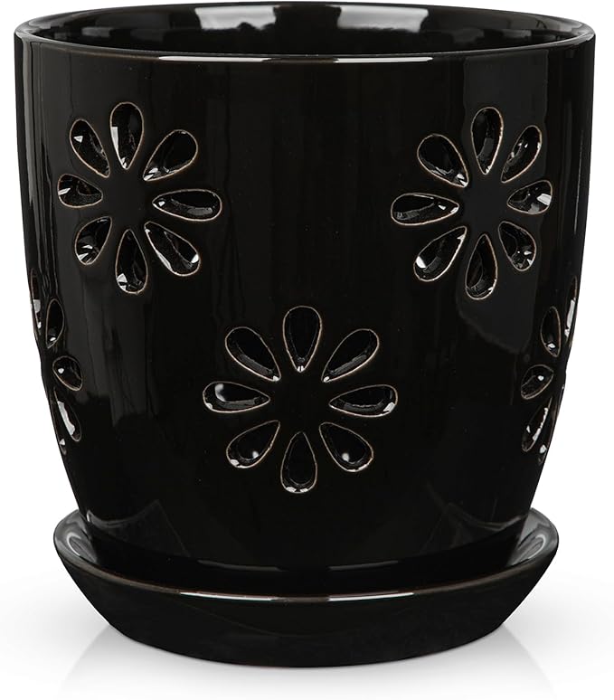 Oairse 6 inch Orchid Pots with Holes, Indoor Plant by Oairse