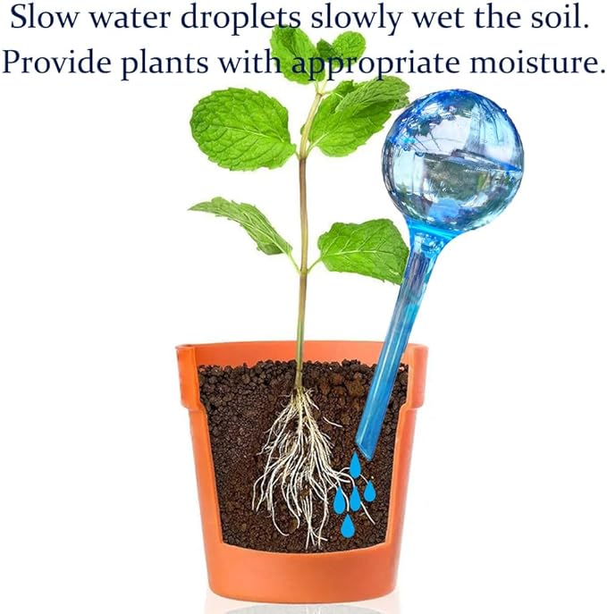 Large 12pcs Plant Watering Globes - Image 4