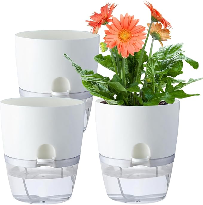 6 Inch Self Watering Plastic Plant Pots by Oliz