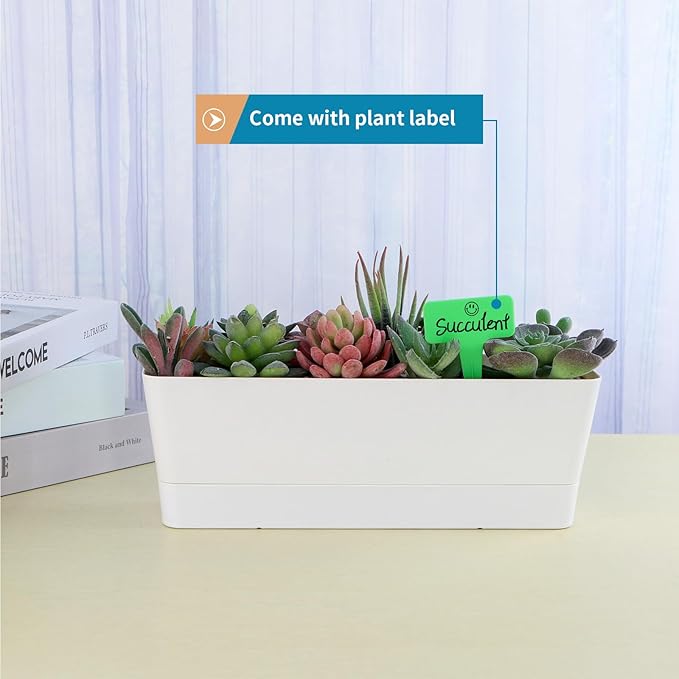Window Box Planter with Tray - Image 4