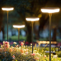 Solar Lights Outdoor Pathway 8 Pack IP65 Waterproof 31" Solar Garden Lights 2 by Ainostone