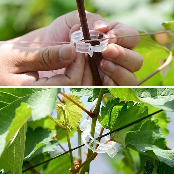 300Pcs Plastic Plant Clip, Plastic Trellis Plant Support Clips - Image 5