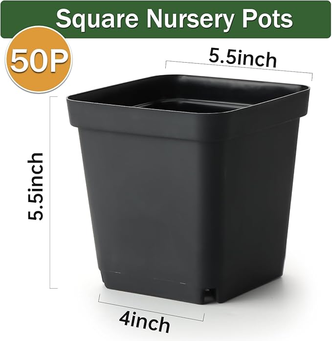 BTPLASTIK Square Nursery Pots 5.5 Inch, Garden Flower Planters - Image 6