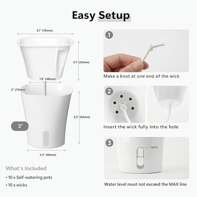 10 Pack 3 Inch Self Watering Pots - Image 6