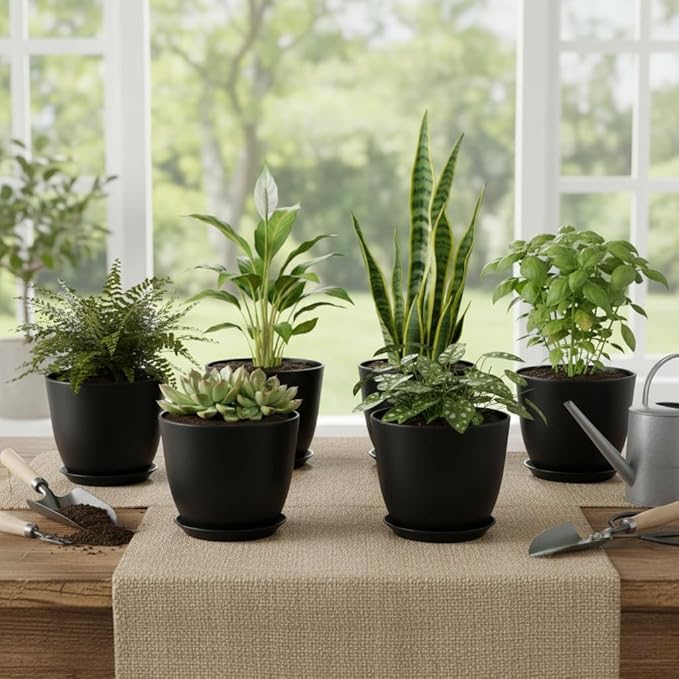 Plant Pots 8 Inch Set of 6, Flower Pots - Image 7