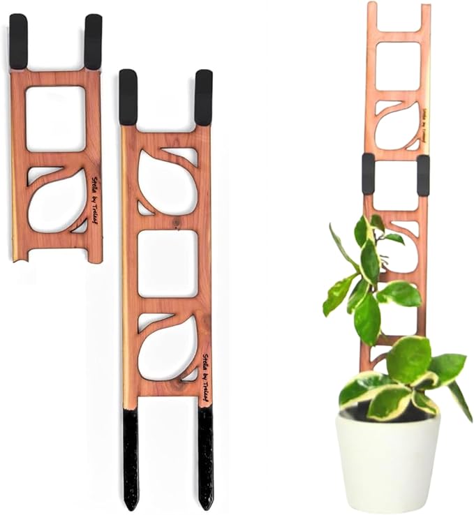 Treleaf Stella Extendable Ladder Trellis by TRELEAF
