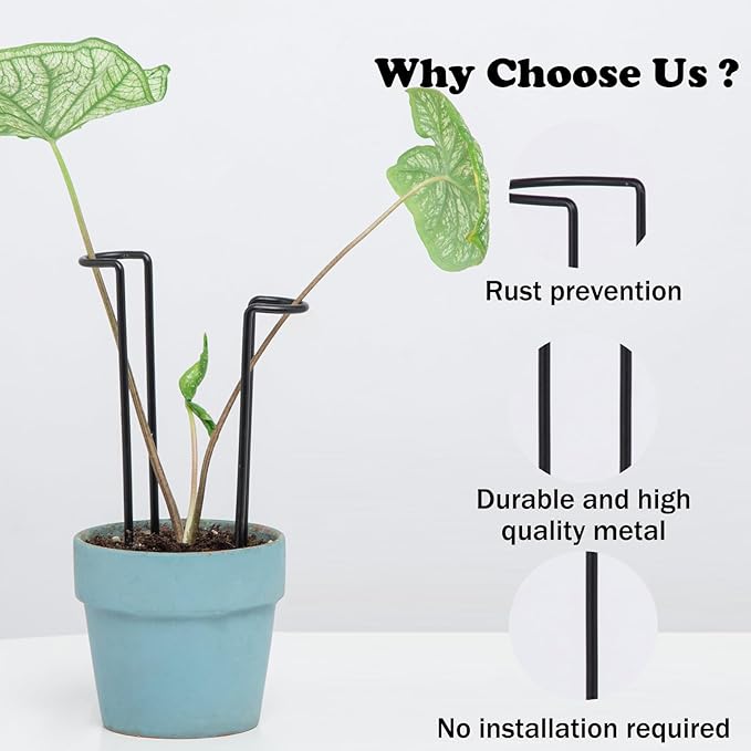 10 Pack Indoor Plant Support for Monstera Trellis Stakes and Stem Holder - Image 6