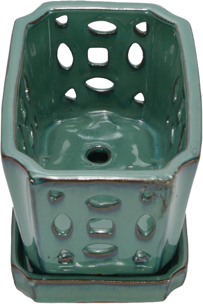W&W Orchid Pot with Holes and Saucer - Image 3