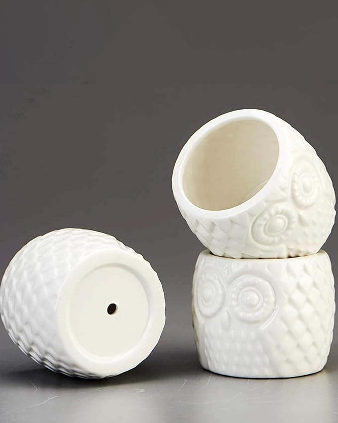 FLOWERPLUS Planter Pots Indoor, 3 Pack 3 Inch White Ceramic Decorative Small - Image 3