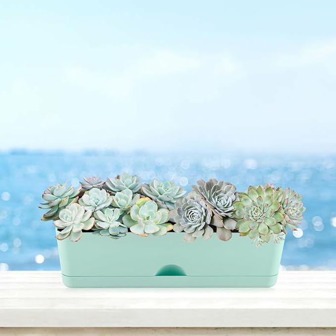 6 Pack Rectangle Planter 16x4.4 Inch Window Boxes Planters Rectangular Large - Image 7