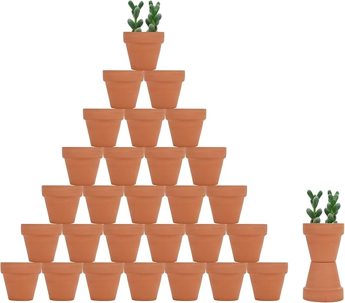 32pcs Small Mini 2" Terracotta Pot Clay Ceramic Pottery Planter, Cactus Flower by Becory