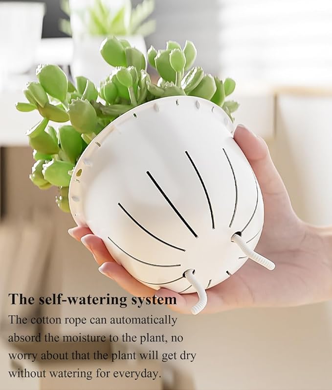 Self Watering Pots for Indoor Plants, Flower Pots, Self Watering Plant Pot-3pcs - Image 7