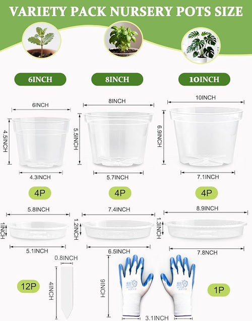 12 Pack 10/8/6 Inch Clear Nursery Pots - Image 2