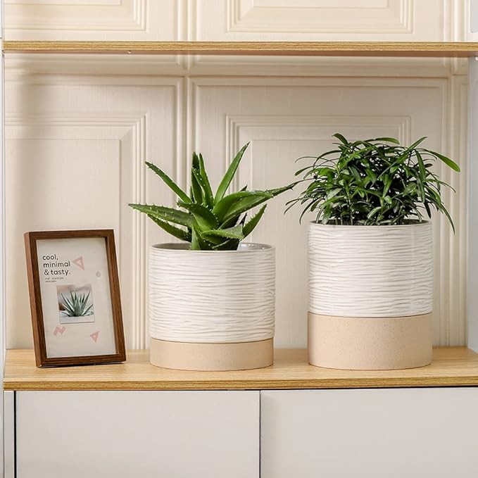 Nihow Ceramic Plant Pot: 6 Inch Planter - Image 5