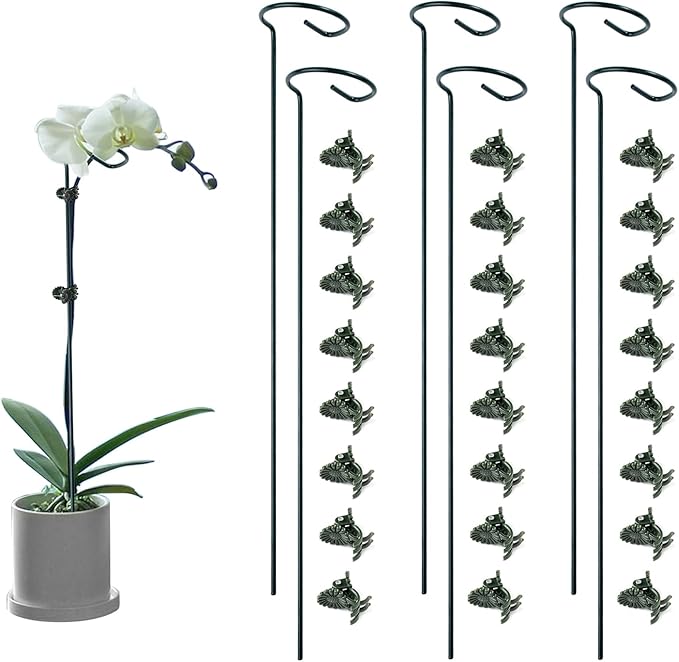 6 Pack Plant Support Stakes by Auaok