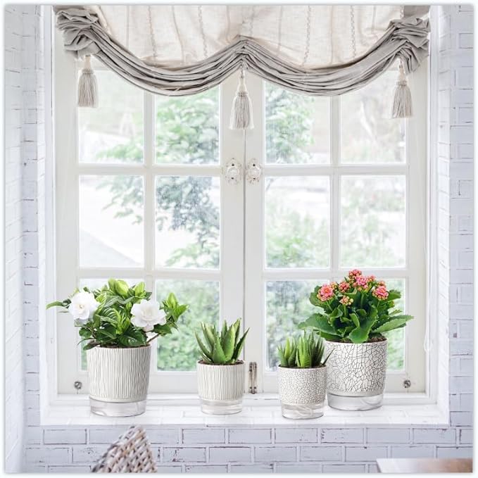 Self Watering Pots for Indoor Plants, 5 & 4 Inch Stylish Flower Pots - Image 6