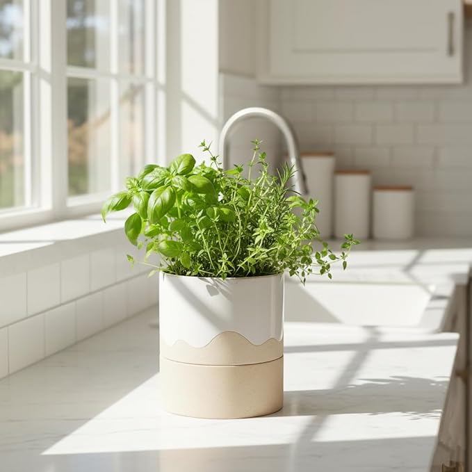 Nihow Self Watering Plant Pot: 6 Inch Ceramic Planter - Image 5