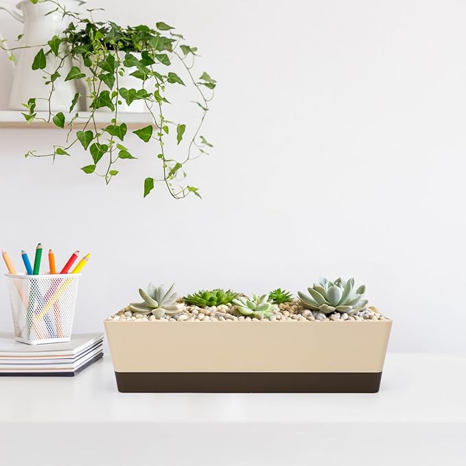 Suream Window Box Herb Planters, 3 Pack 16 x3.8 Inch Indoor Rectangle Succulent - Image 7