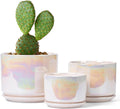 EFISPSS Plant Pots, 4+5+6 Inch Pots by EFISPSS