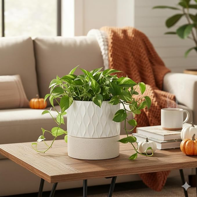 Nihow Self Watering Plant Pot for Indoor Plants: 6 Inch Ceramic Planter - Image 5