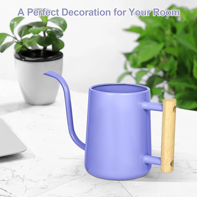 Watering Can Indoor Plants, 35 oz/1000 ml Metal Stainless Steel Watering Can Pot - Image 8