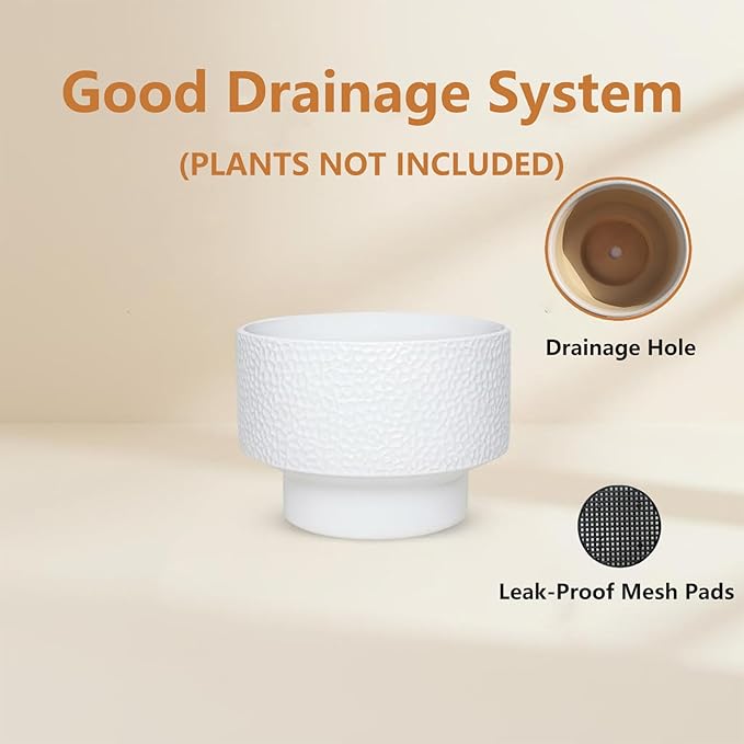 13 Inch Ceramic Plant Pots, Planter Pot - Image 5
